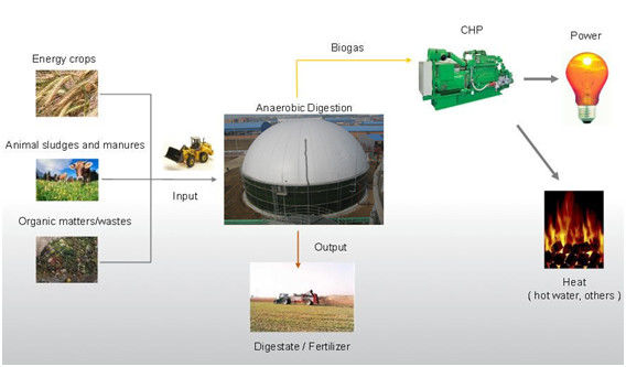 EPC USR/CSTR Βιοαέριο Αναερόβια Ζύμωση Βιοαέριο Τανκ Αποθήκευσης Απορριμμάτων σε Ενέργεια Σχεδιαστικό εργοστάσιο 1