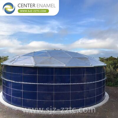 Center Enamel Provides Anaerobic Digestion Technical Solutions for East Timor Citrus Processing Wastewater Treatment Project