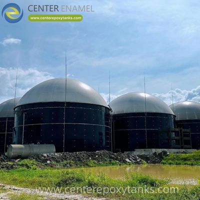 Double Membrane Biogas Holder for Livestock Manure Treatment: A Robust, Flexible Solution for Collecting and Storing Farm-Generated Biogas