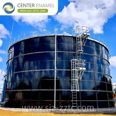 Center Enamel Provides Anaerobic Digestion Technical Solutions for Indonesia Citrus Processing Wastewater Treatment Project